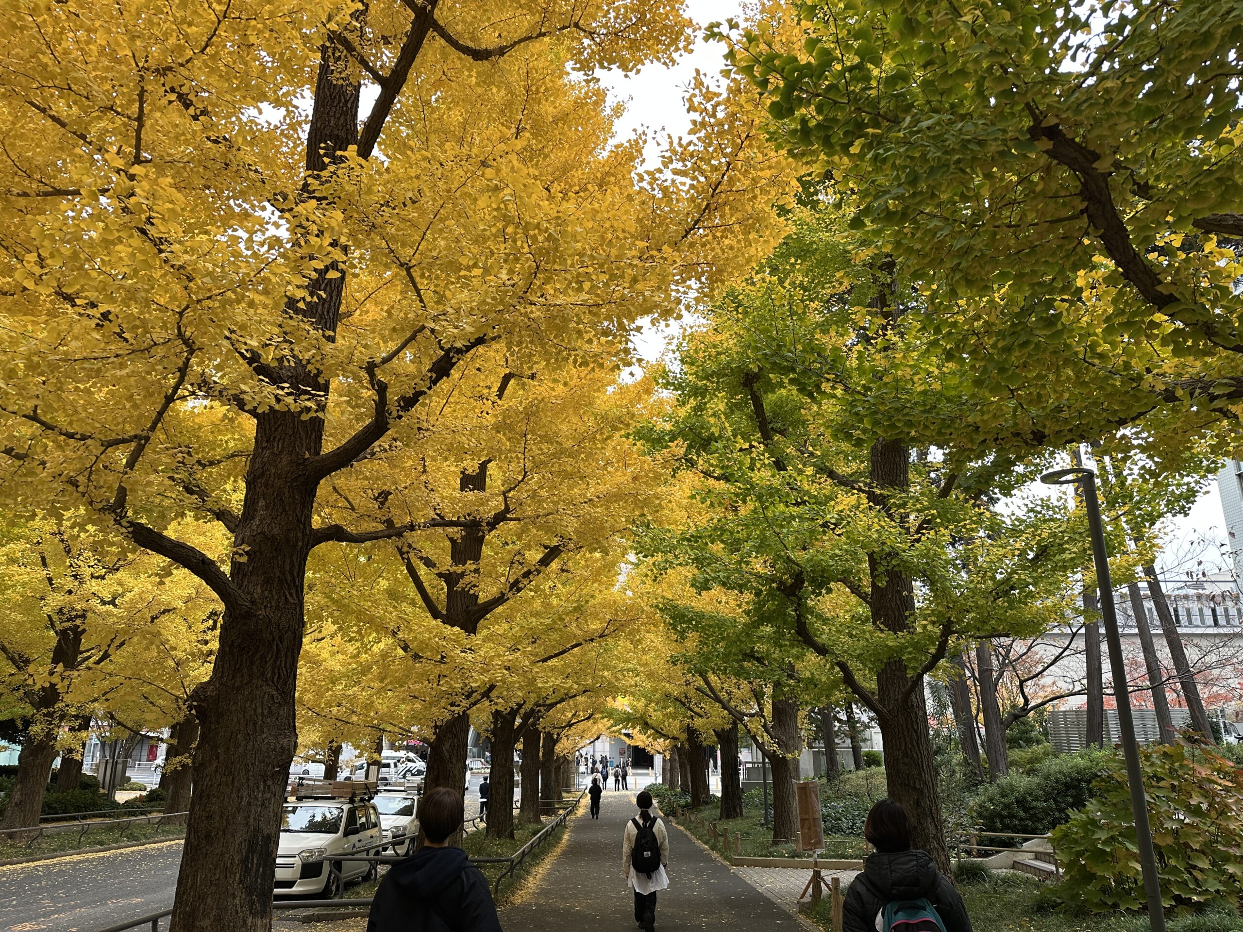 ⼤学アメフト部の運動指導業務