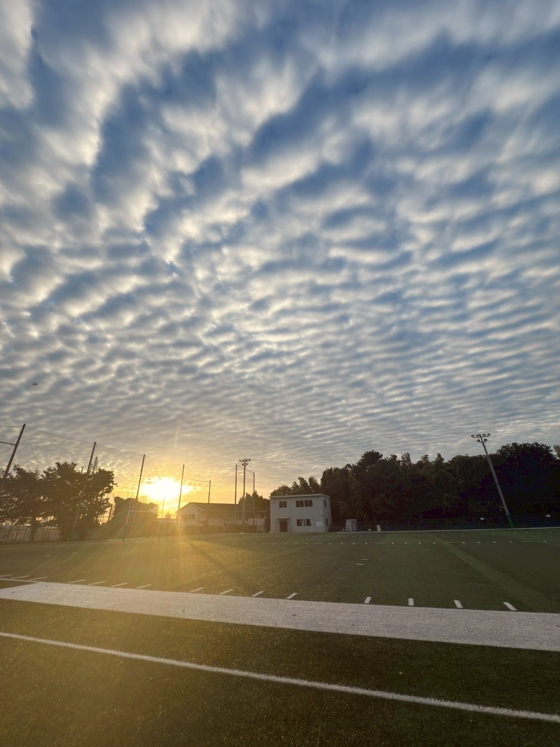 関東圏の⼤学でのメディカルチェック業務